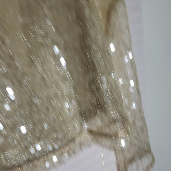 Sage & Fig Beige Sequin Cropped Blouse – Sparkle in Every Season - Picture 11 of 11